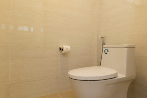 Premier Beachfront Villa Twin